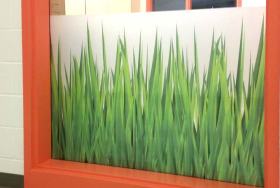 Custom Printing
